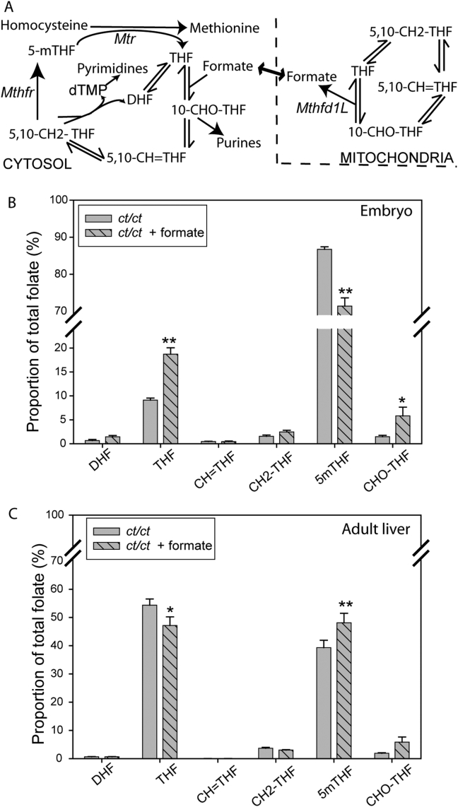 Fig. 3