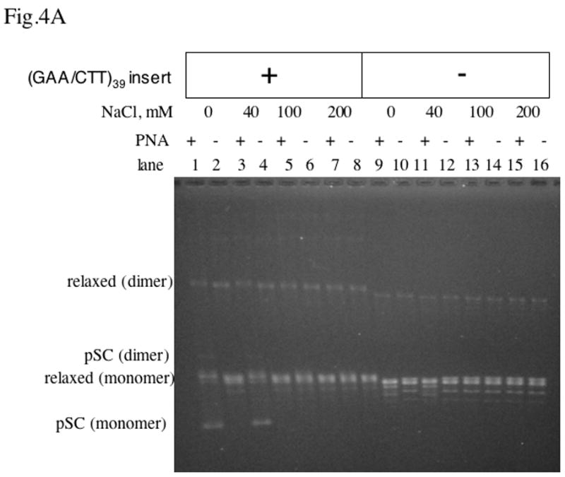 Fig.4