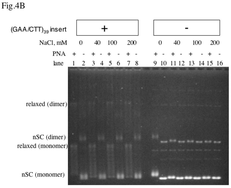 Fig.4