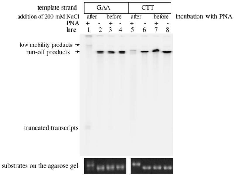 Fig.6