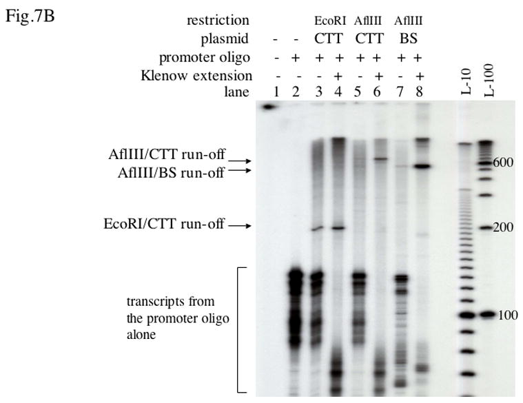 Fig.7