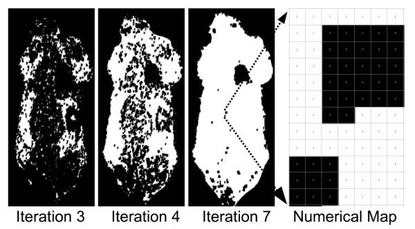 Fig. 3