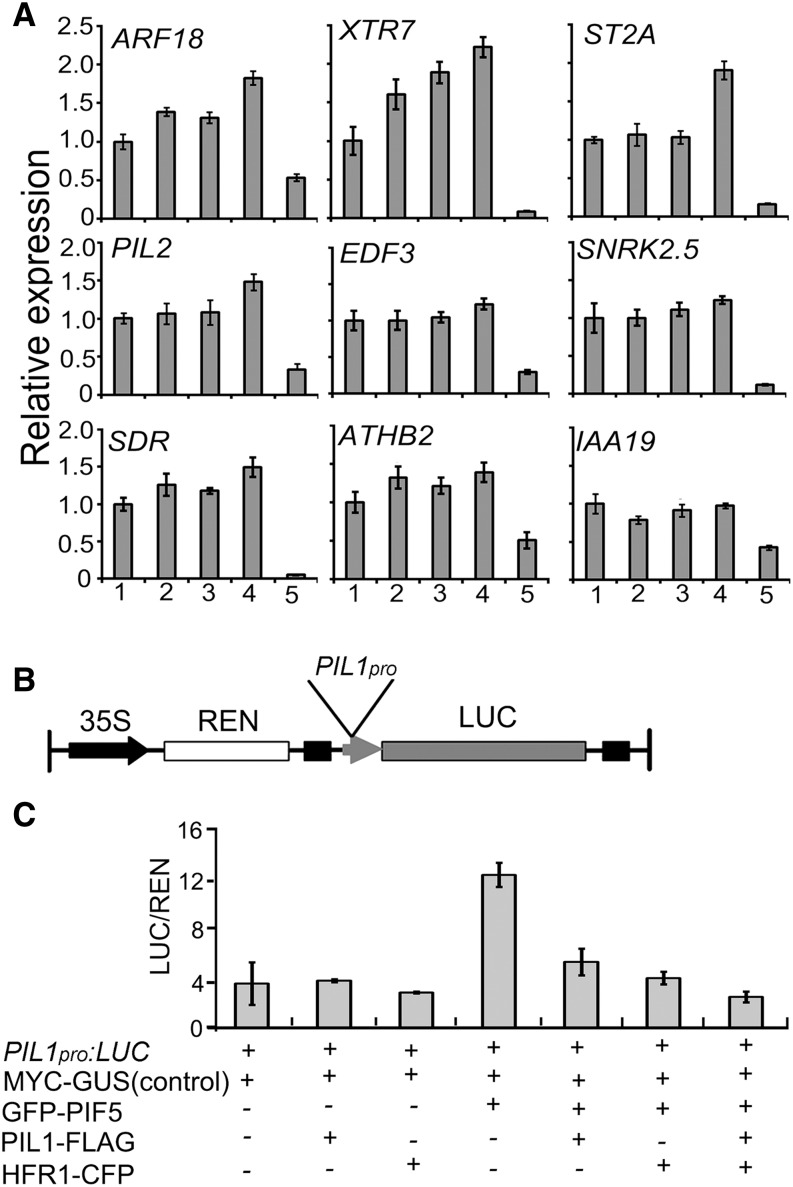 Figure 9.