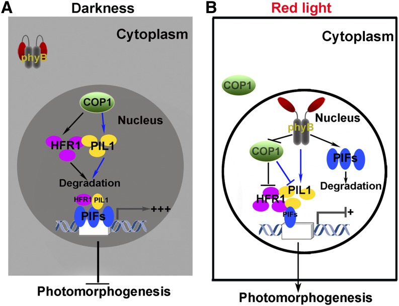 Figure 10.