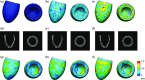 Fig. 2