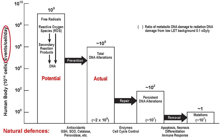 Figure 22.