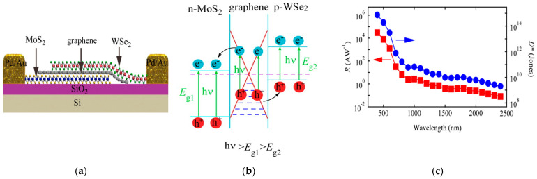 Figure 19