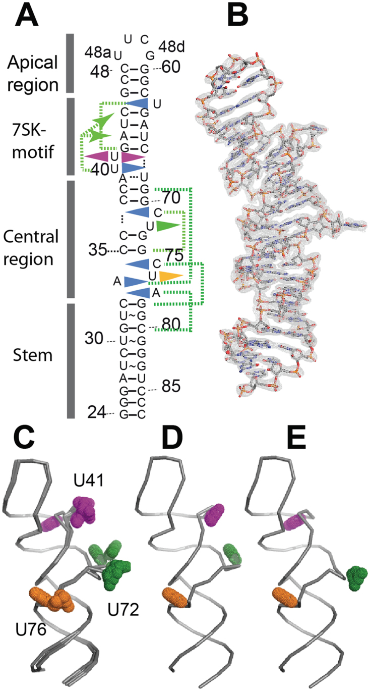 Figure 2.