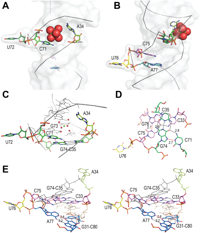 Figure 4.