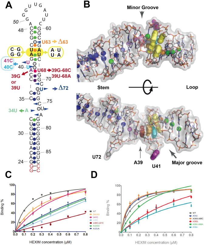 Figure 6.