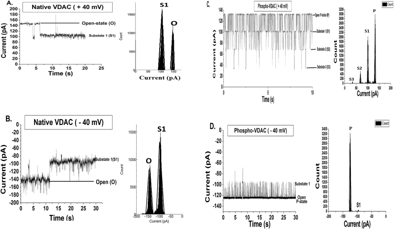 Fig. 3