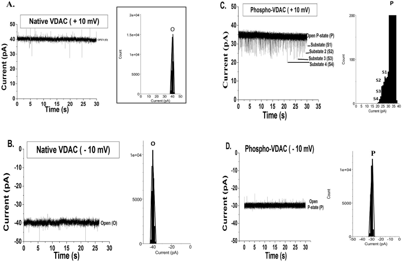 Fig. 2