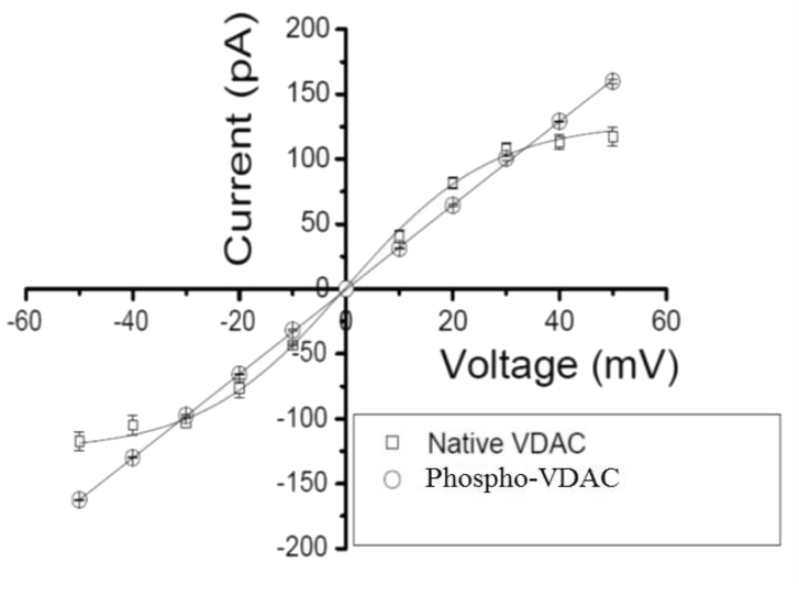 Fig. 4