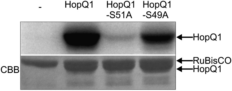 Figure 3.