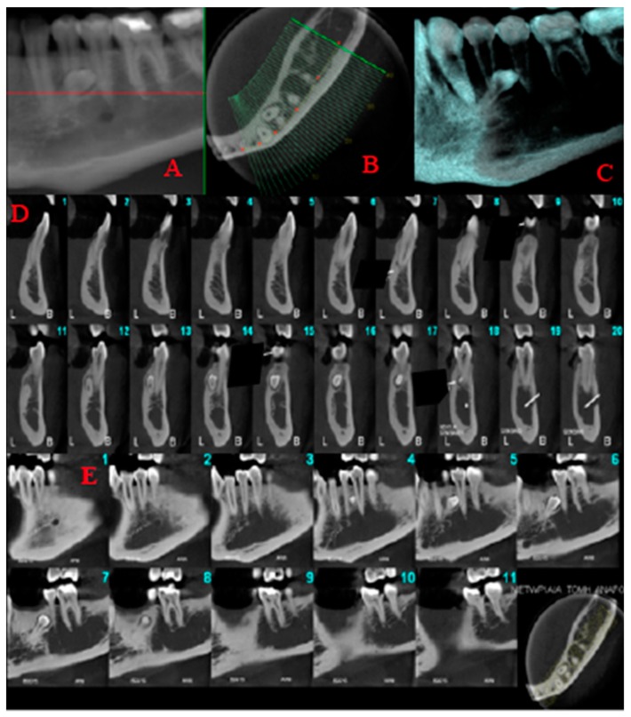 Figure 5