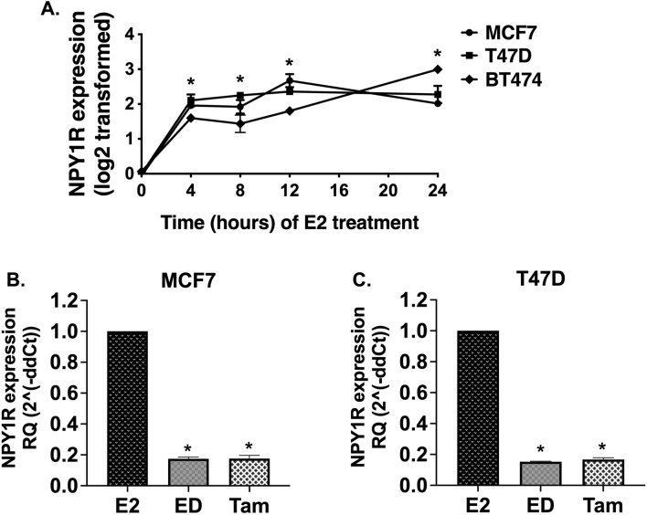 Figure 3: