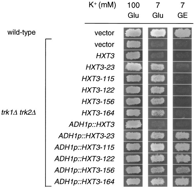 FIG. 6