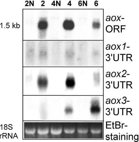 Figure 2.