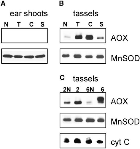 Figure 6.