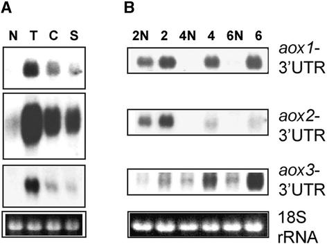 Figure 7.