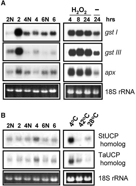 Figure 9.