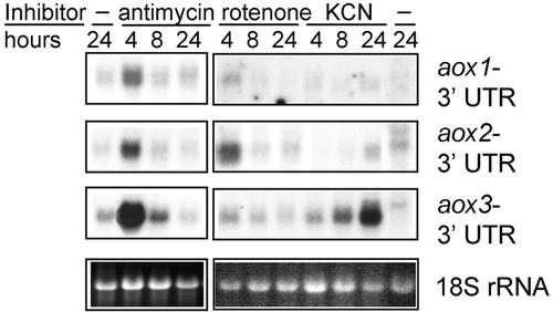 Figure 3.