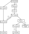 Fig. 11.