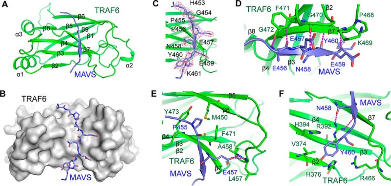 FIGURE 3.