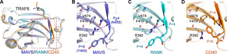 FIGURE 4.