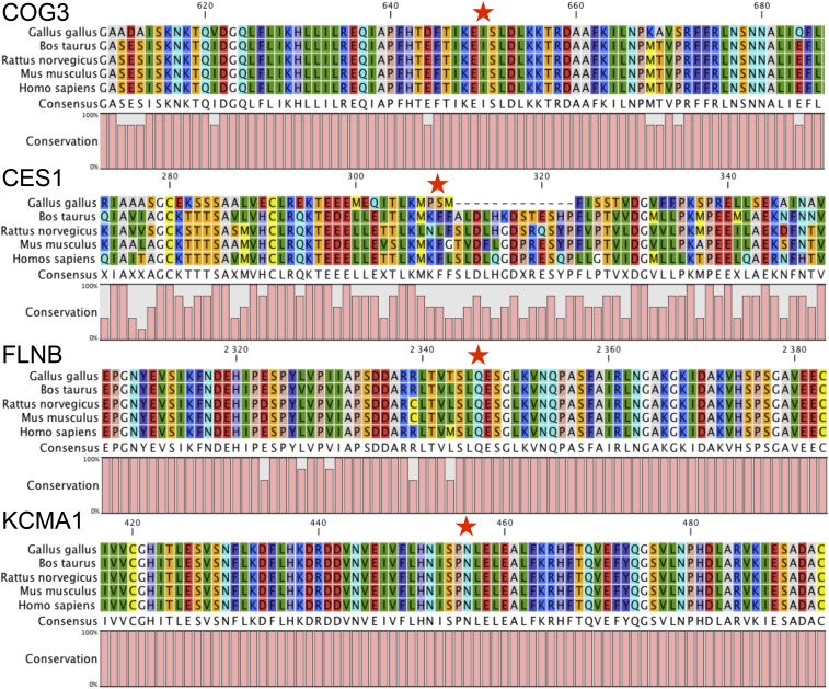 Figure 6