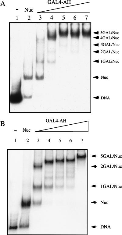 FIG. 7