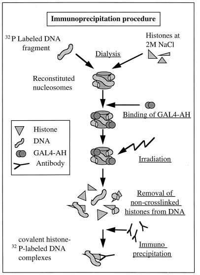 FIG. 6