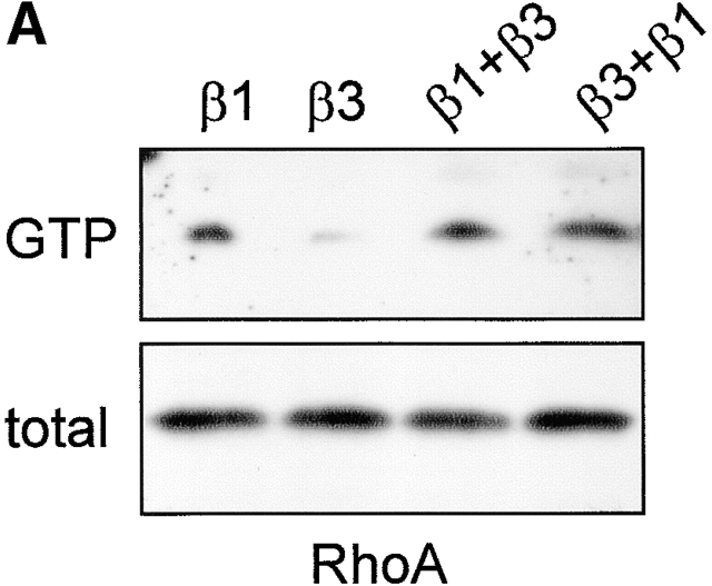 Figure 9.