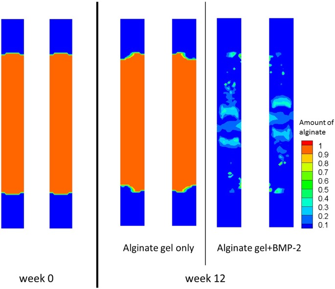 Fig 11