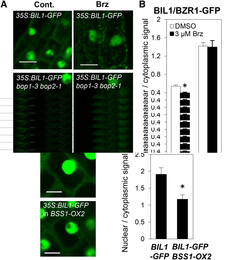 Figure 9.