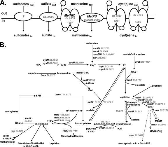 FIG. 1.