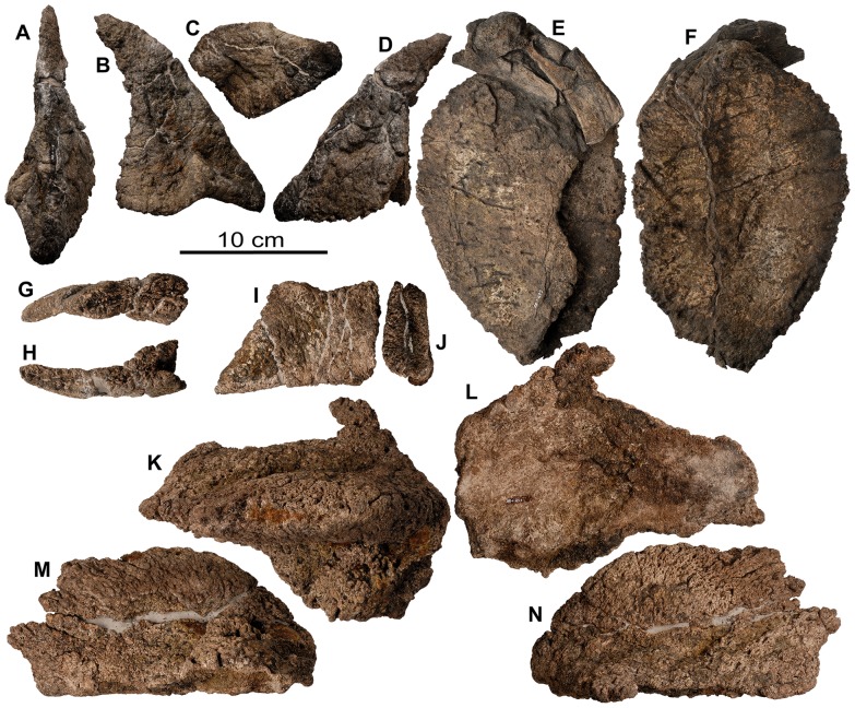 Figure 26