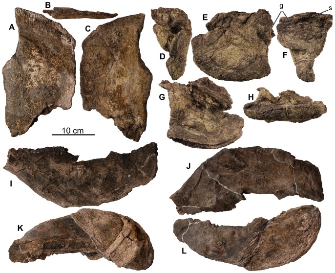 Figure 20