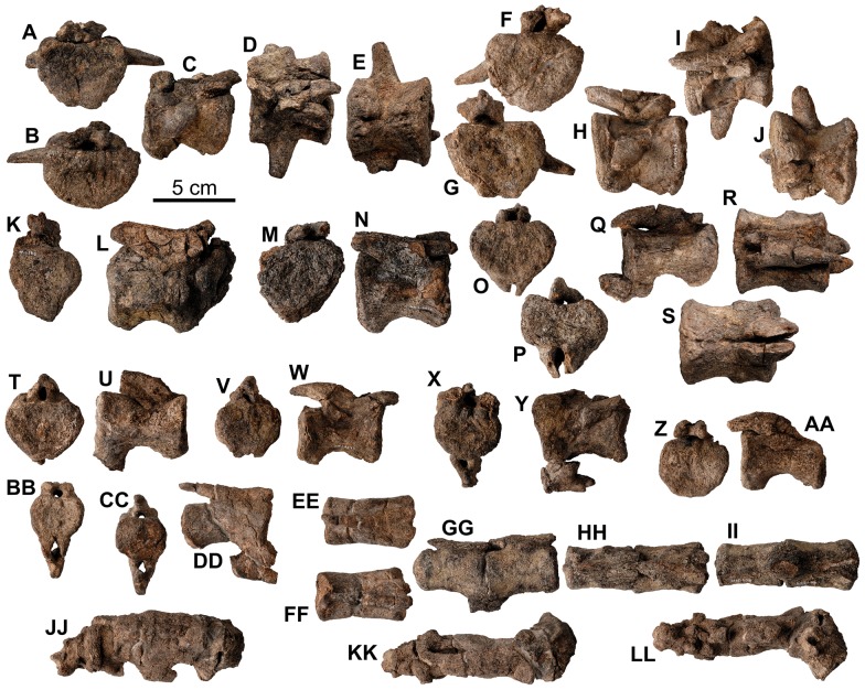 Figure 19