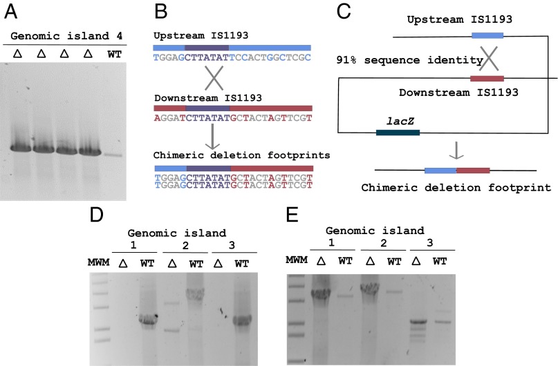 Fig. 4.