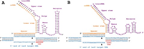 Fig. S4.