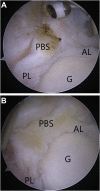 Fig 8