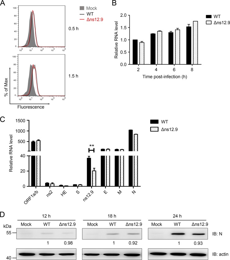 FIG 6