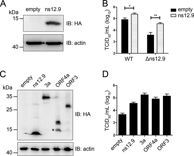 FIG 4