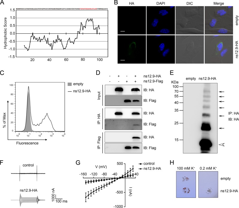 FIG 1