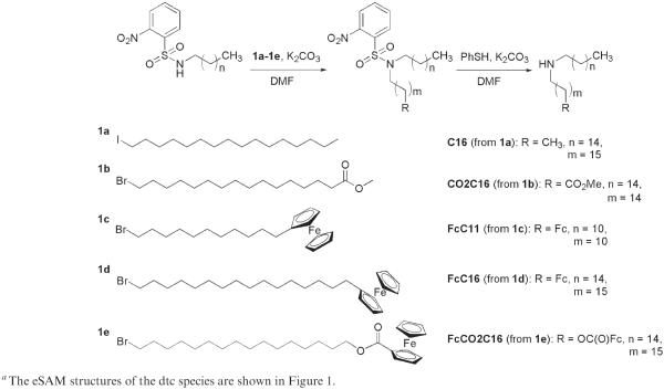 Scheme 1