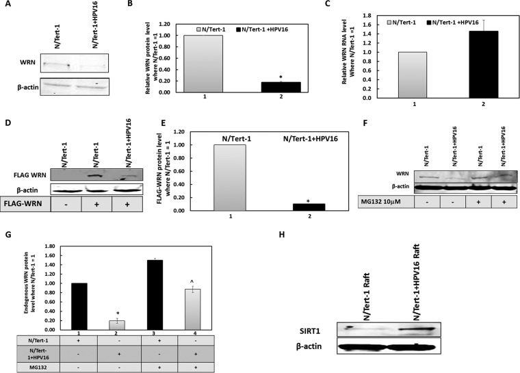 FIG 6