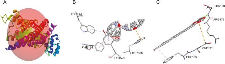 Fig. 6