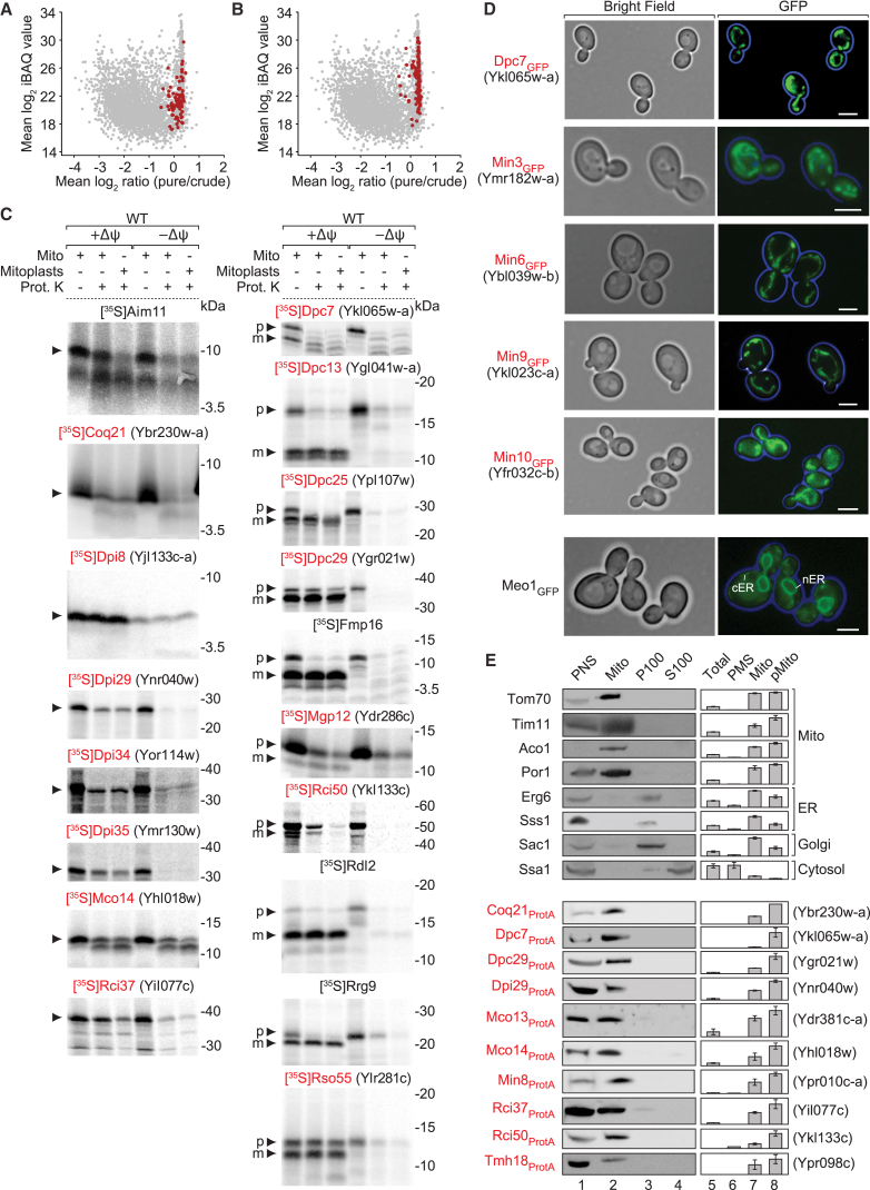 Figure 4