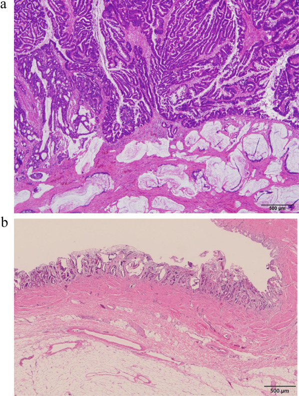 Fig. 3